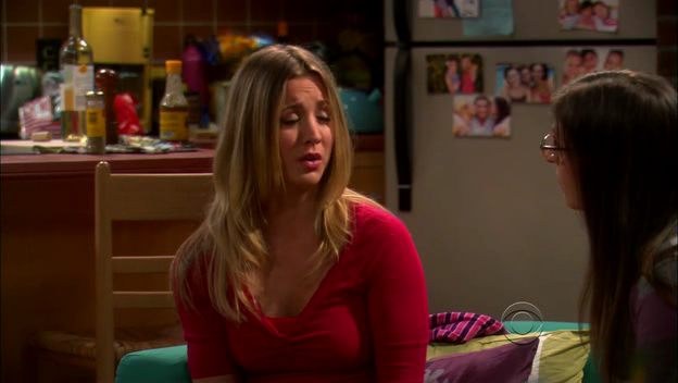 Charmed-Online-dot-TheBigBangTheory5x01-0050.png