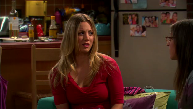 Charmed-Online-dot-TheBigBangTheory5x01-0060.png