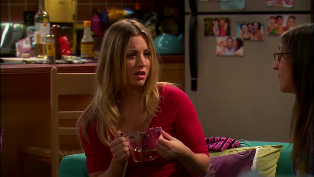 Charmed-Online-dot-TheBigBangTheory5x01-0074.png