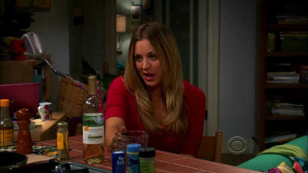 Charmed-Online-dot-TheBigBangTheory5x01-0132.png