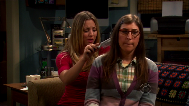 Charmed-Online-dot-TheBigBangTheory5x01-0334.png