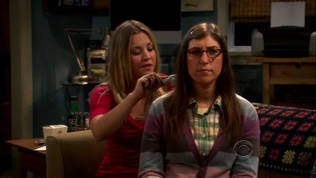 Charmed-Online-dot-TheBigBangTheory5x01-0336.png