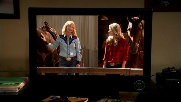 Charmed-Online-dot-TheBigBangTheory5x01-0883.png