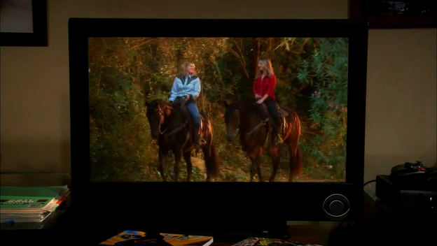 Charmed-Online-dot-TheBigBangTheory5x01-0904.png