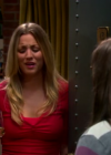 Charmed-Online-dot-TheBigBangTheory5x01-0033.png