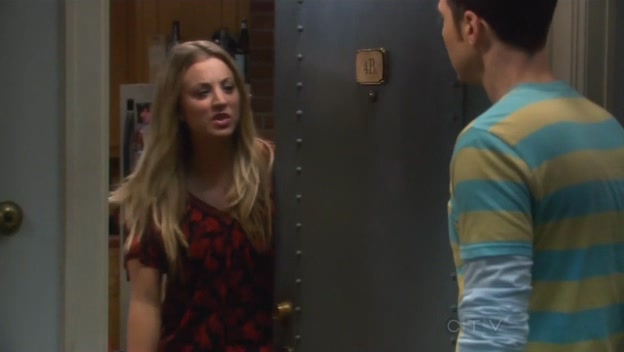 Charmed-Online-dot-TheBigBangTheory5x02-0215.jpg