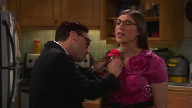 Charmed-Online-dot-TheBigBangTheory5x03-0190.jpg