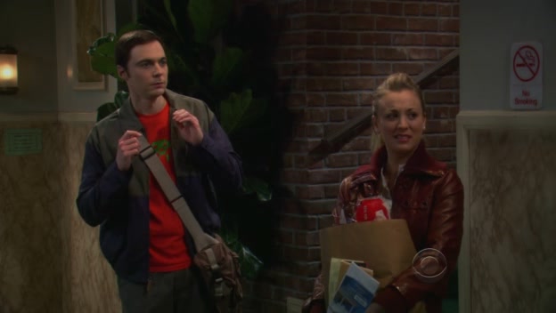 Charmed-Online-dot-TheBigBangTheory5x070028.jpg