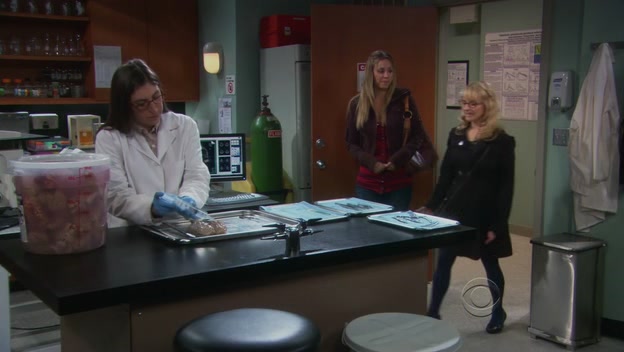 Charmed-Online-dot-TheBigBangTheory5x08-0323.jpg