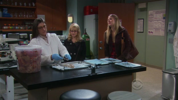 Charmed-Online-dot-TheBigBangTheory5x08-0338.jpg