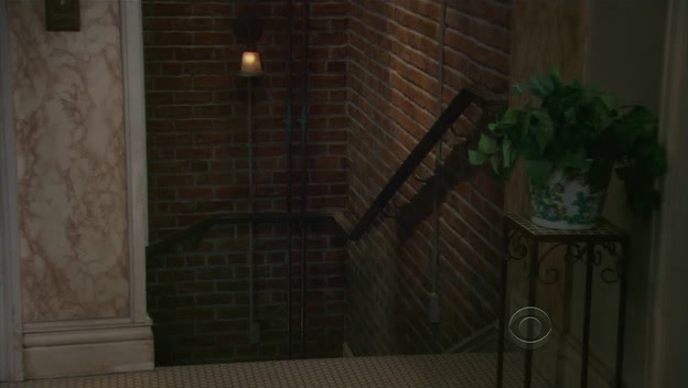 Charmed-Online-dot-TheBigBangTheory5x09-1122.jpg