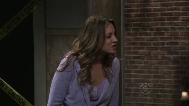 Charmed-Online-dot-net_TBBT-5x13-1052.jpg
