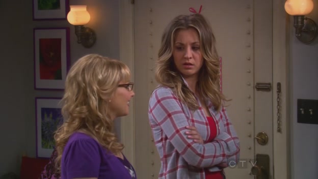 Charmed-Online-dot-net_TBBT-5x17-0331.jpg