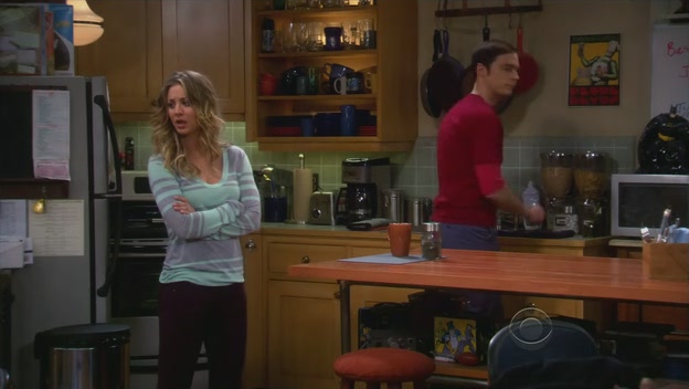 Charmed-Online-dot-net_TBBT-5x18-0605.jpg