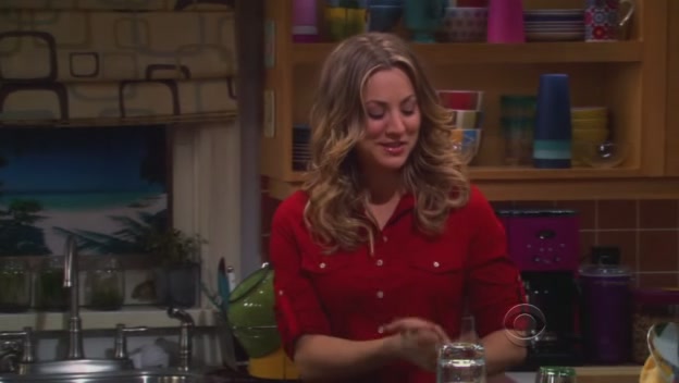 Charmed-Online-dot-net_TBBT-5x16-0317.jpg