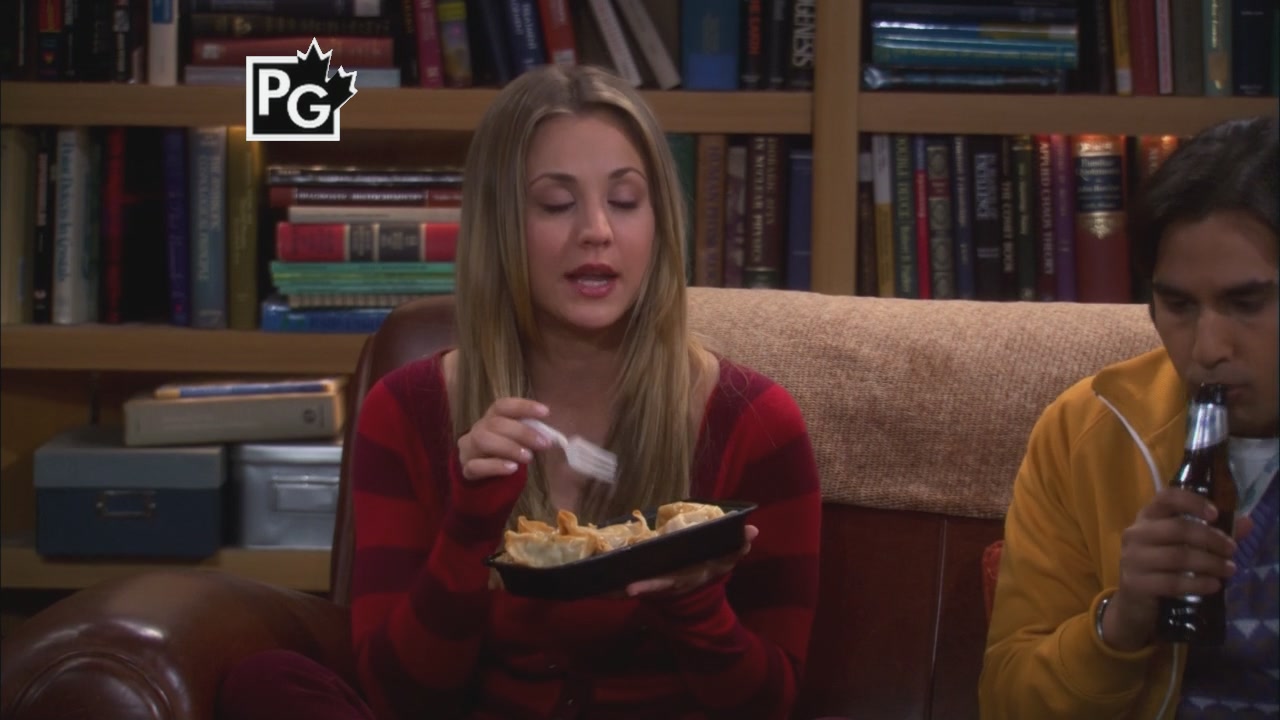 Charmed-Online_dot_net-TBBT5x20TheTransporterMalfunction0008.jpg