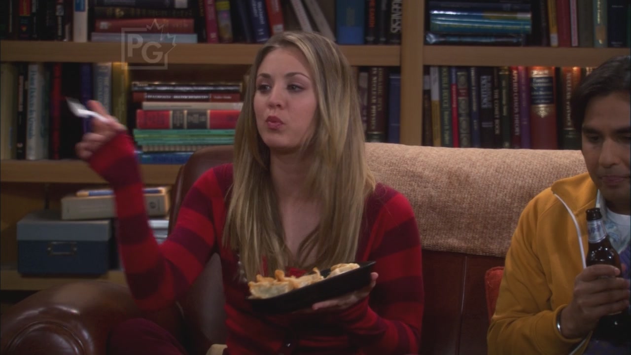Charmed-Online_dot_net-TBBT5x20TheTransporterMalfunction0010.jpg