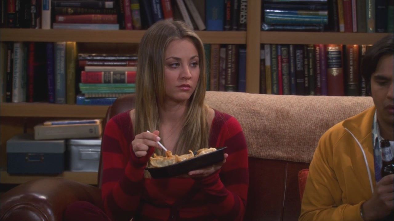 Charmed-Online_dot_net-TBBT5x20TheTransporterMalfunction0020.jpg