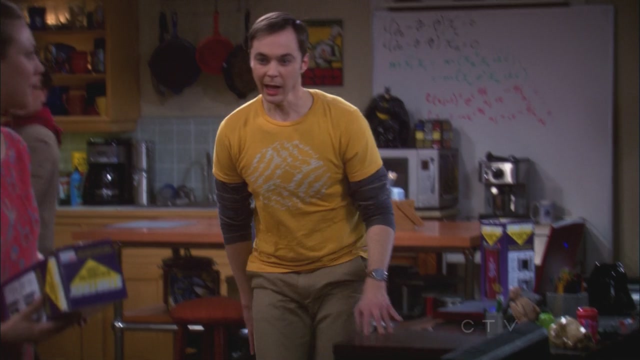 Charmed-Online_dot_net-TBBT5x20TheTransporterMalfunction0639.jpg
