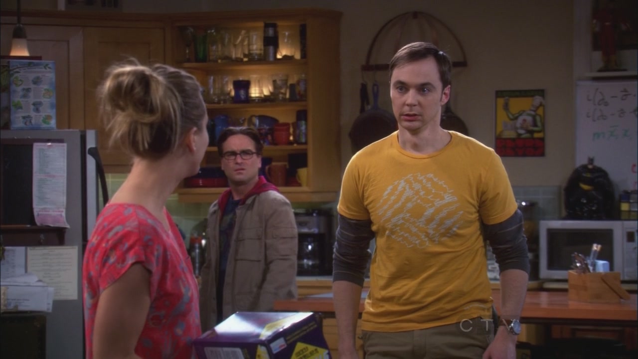 Charmed-Online_dot_net-TBBT5x20TheTransporterMalfunction0641.jpg