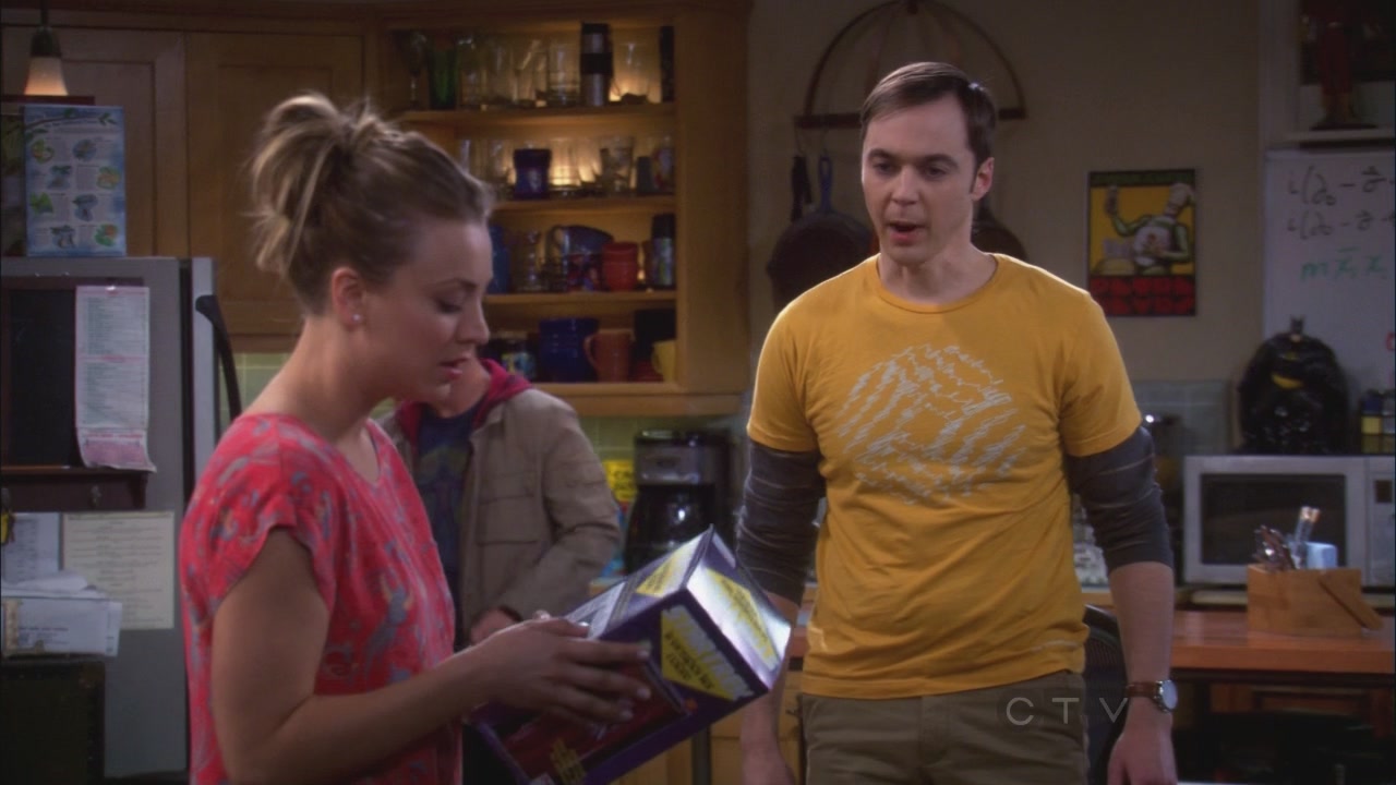 Charmed-Online_dot_net-TBBT5x20TheTransporterMalfunction0646.jpg