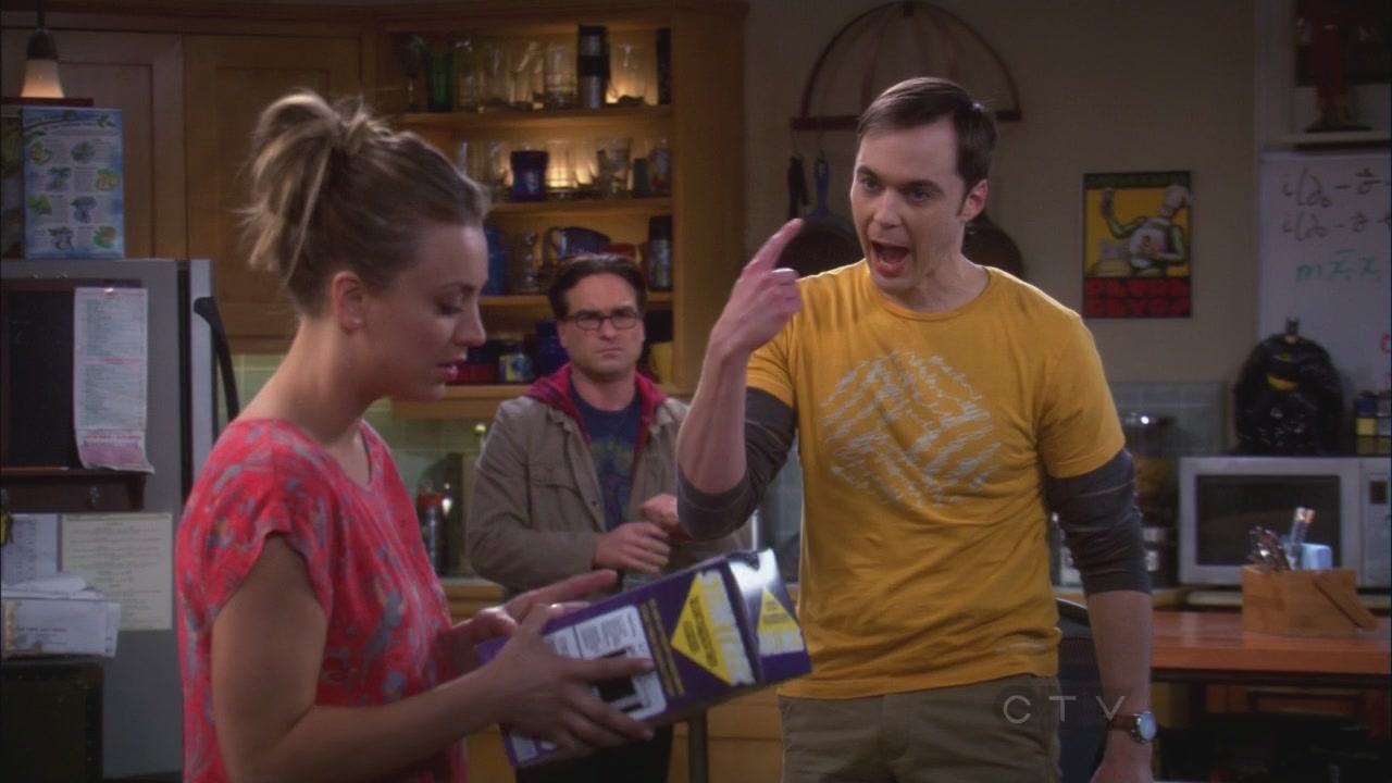 Charmed-Online_dot_net-TBBT5x20TheTransporterMalfunction0647.jpg