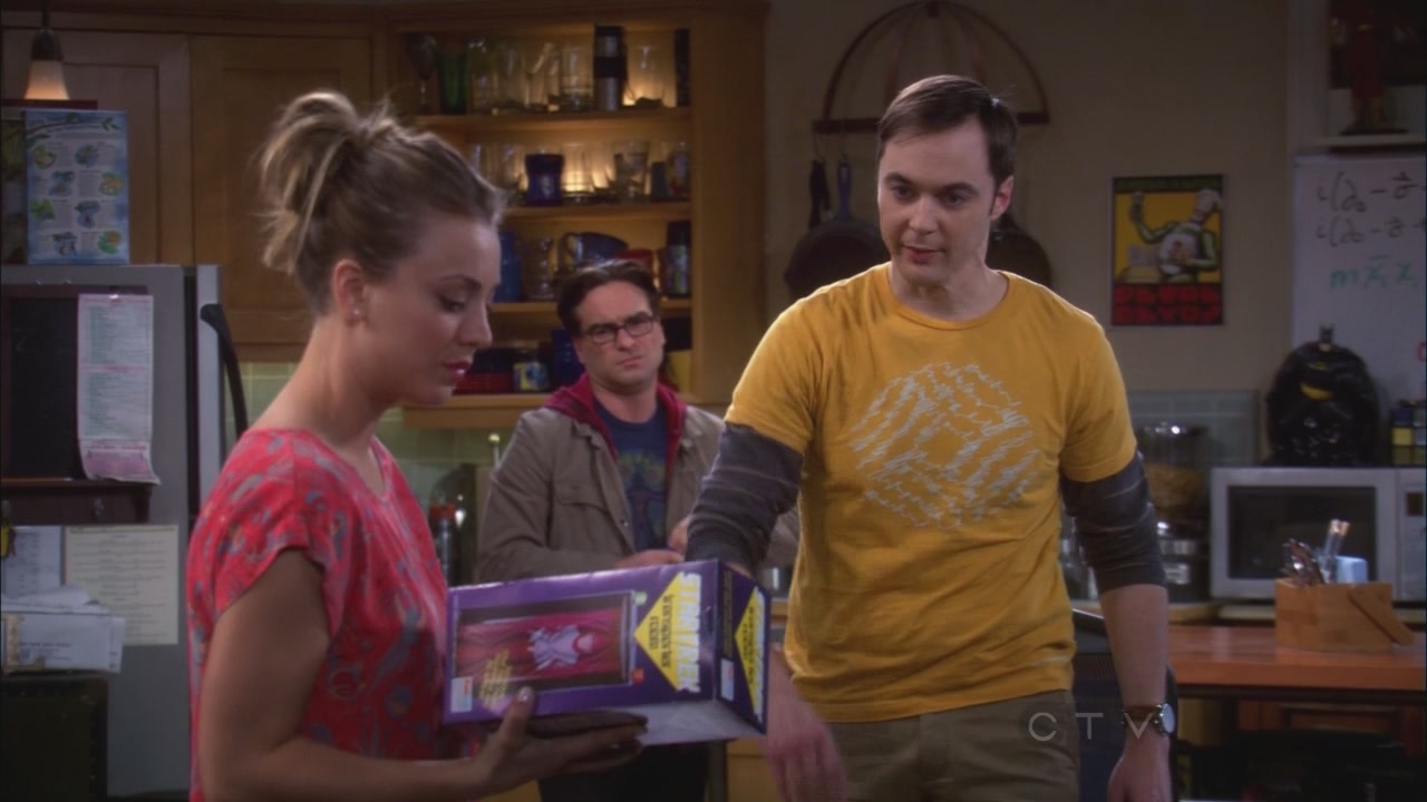 Charmed-Online_dot_net-TBBT5x20TheTransporterMalfunction0649.jpg