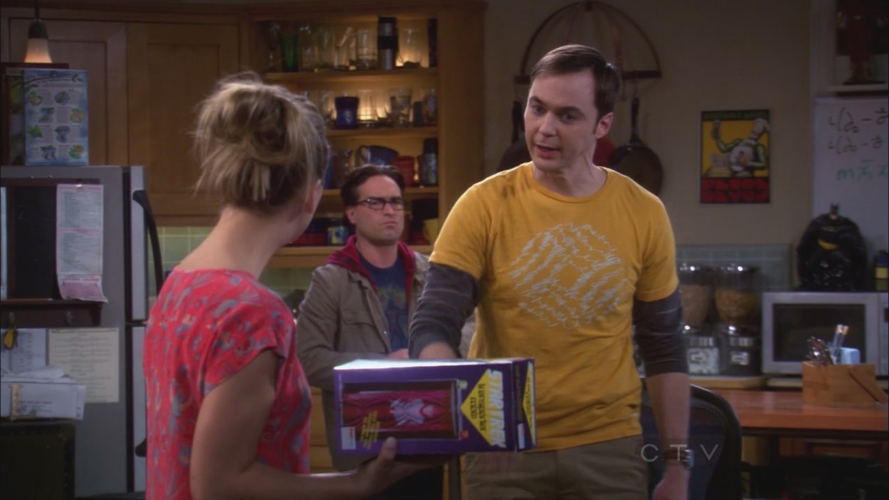 Charmed-Online_dot_net-TBBT5x20TheTransporterMalfunction0656.jpg