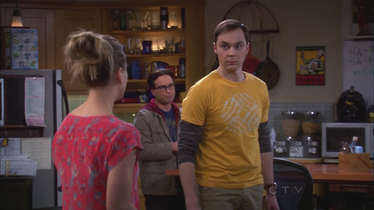 Charmed-Online_dot_net-TBBT5x20TheTransporterMalfunction0661.jpg