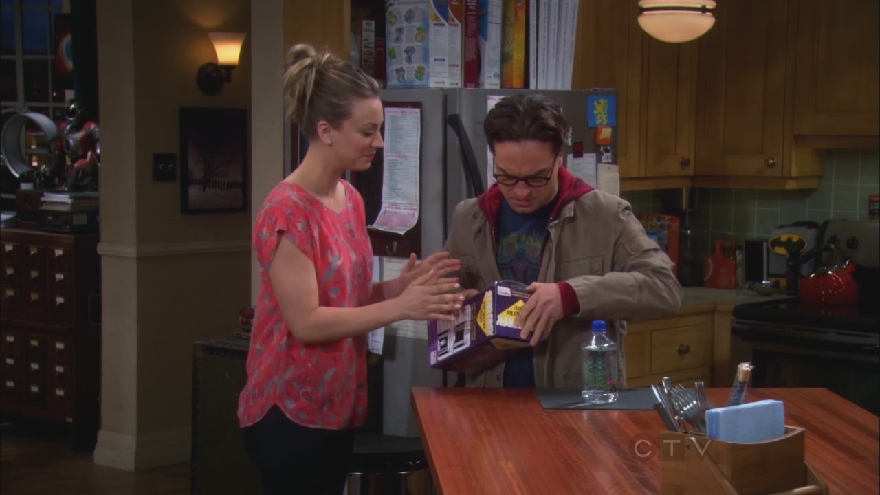 Charmed-Online_dot_net-TBBT5x20TheTransporterMalfunction0679.jpg