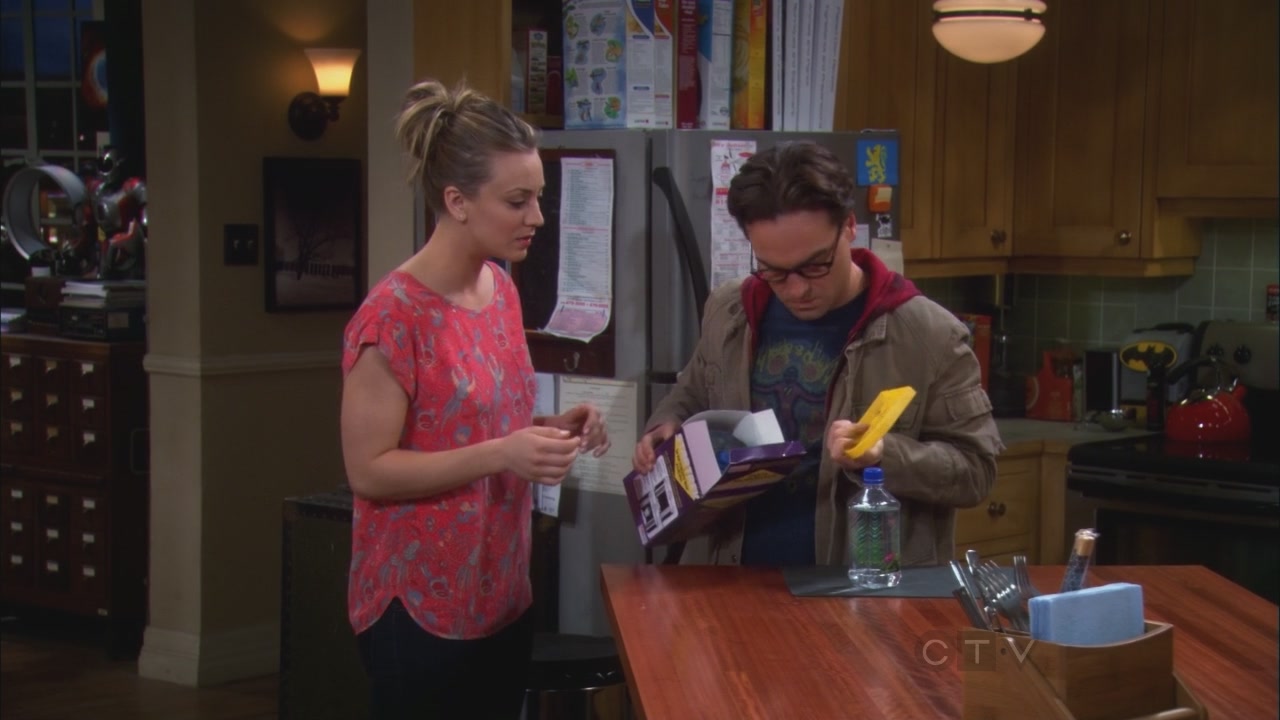 Charmed-Online_dot_net-TBBT5x20TheTransporterMalfunction0683.jpg