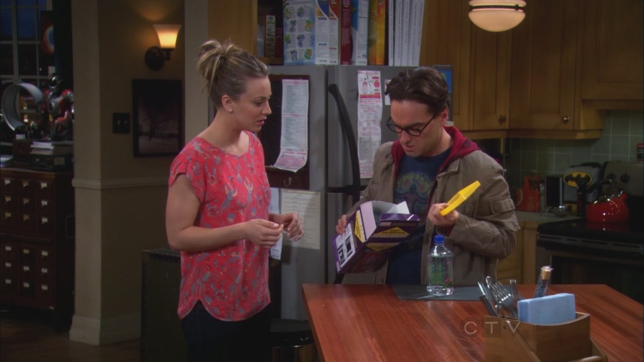 Charmed-Online_dot_net-TBBT5x20TheTransporterMalfunction0686.jpg
