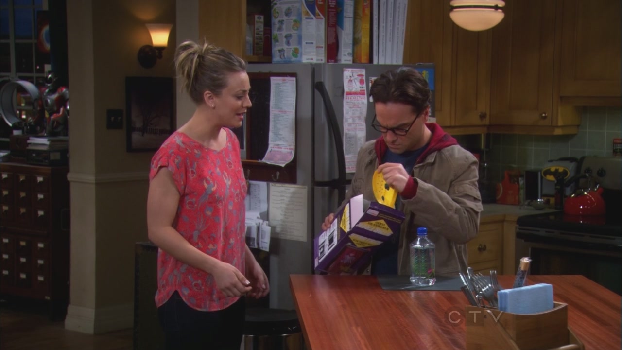 Charmed-Online_dot_net-TBBT5x20TheTransporterMalfunction0692.jpg
