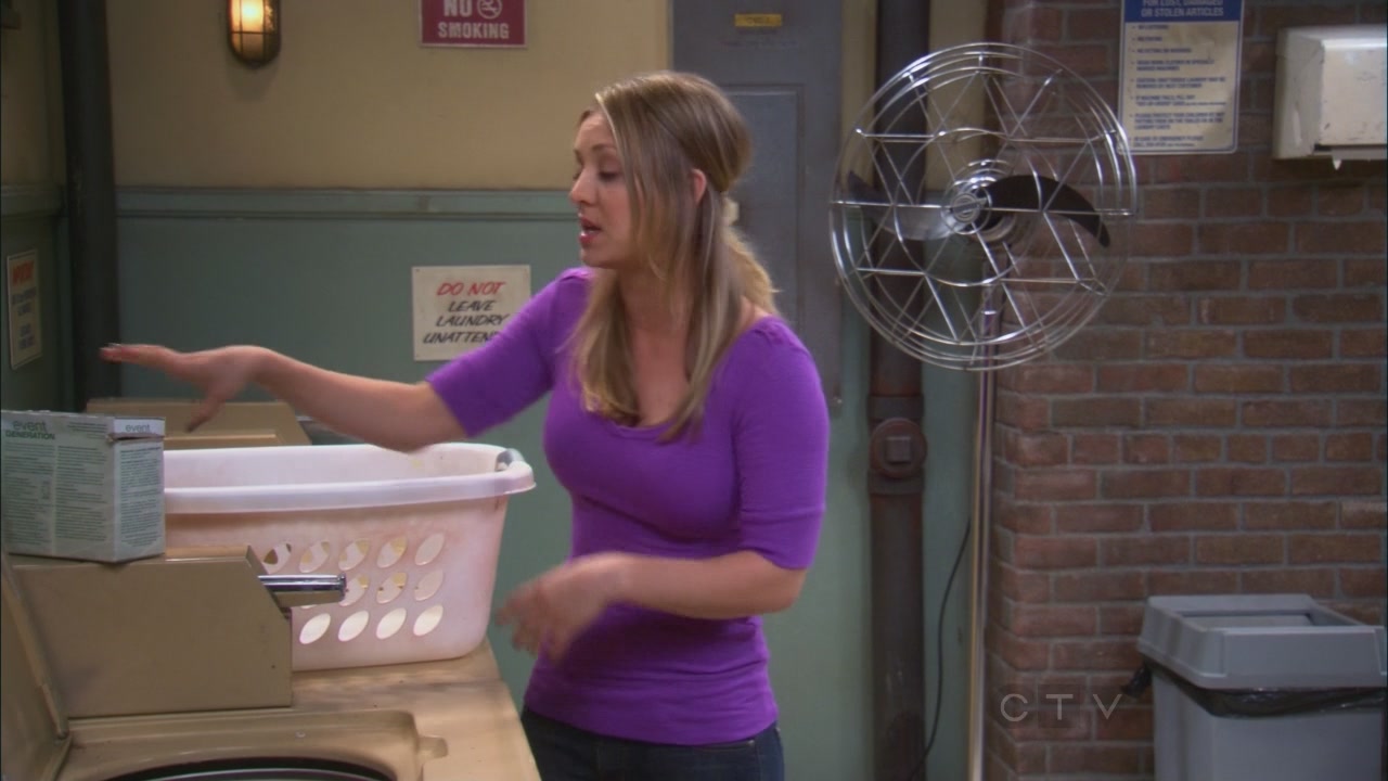 Charmed-Online_dot_net-TBBT2x21TheHawkingExcitation0072.jpg