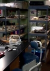 Charmed-Online-dot-net_TheBigBangTheory7x03-0716.jpg