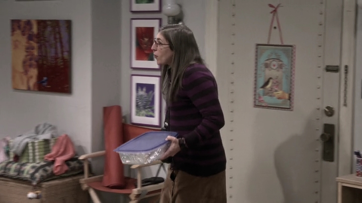 Charmed-Online_dot_nl-TBBT-9x03-0204.jpg