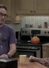 Charmed-Online_dot_nl-TBBT-9x08-0040.jpg