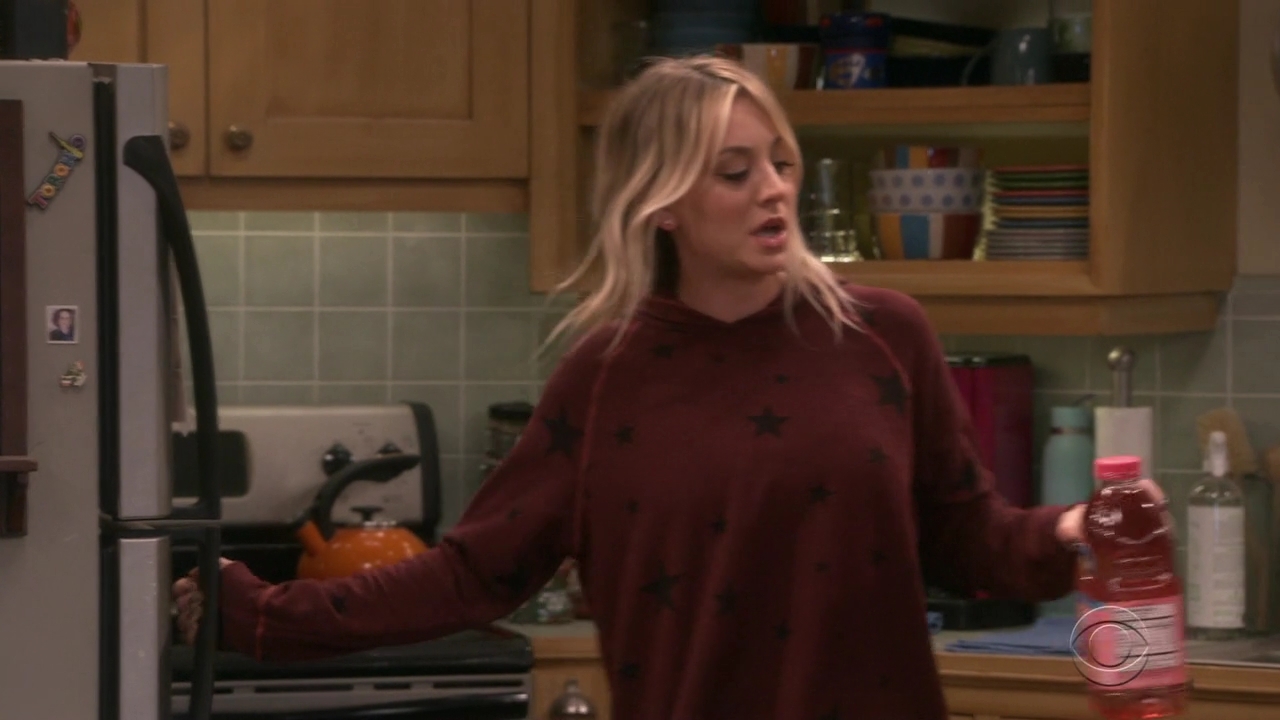 Charmed-Online-dot-nl_TheBigBangtheory12x15-0942.jpg