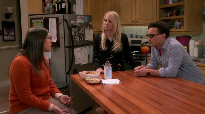 Chamed-Online-dot-nl_TheBigBangTheory12x19-0163.jpg