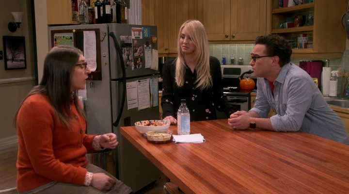Chamed-Online-dot-nl_TheBigBangTheory12x19-0169.jpg