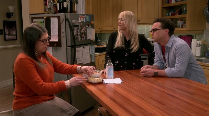 Chamed-Online-dot-nl_TheBigBangTheory12x19-0182.jpg