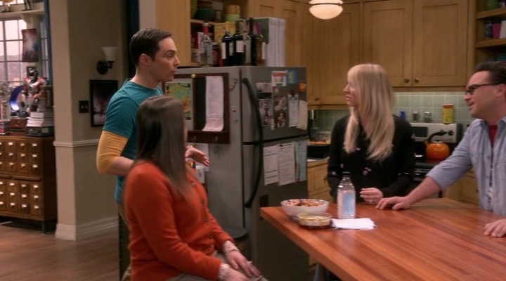 Chamed-Online-dot-nl_TheBigBangTheory12x19-0197.jpg