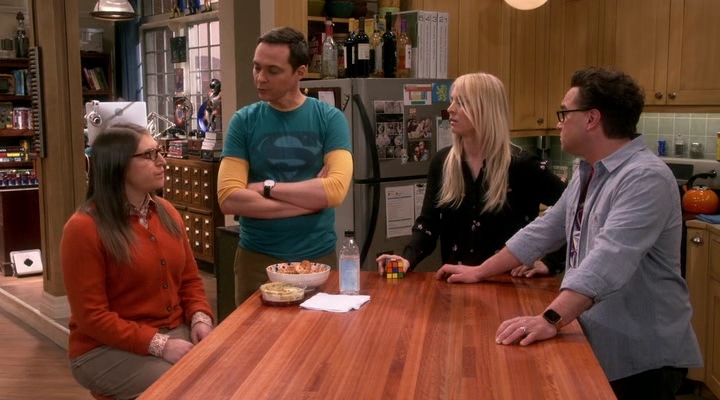 Chamed-Online-dot-nl_TheBigBangTheory12x19-0214.jpg