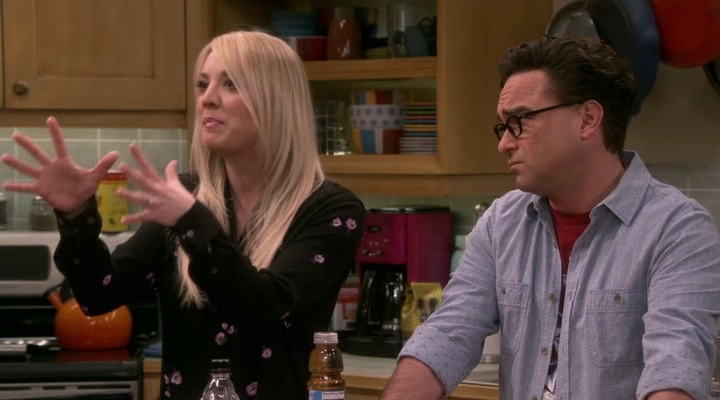 Chamed-Online-dot-nl_TheBigBangTheory12x19-0267.jpg