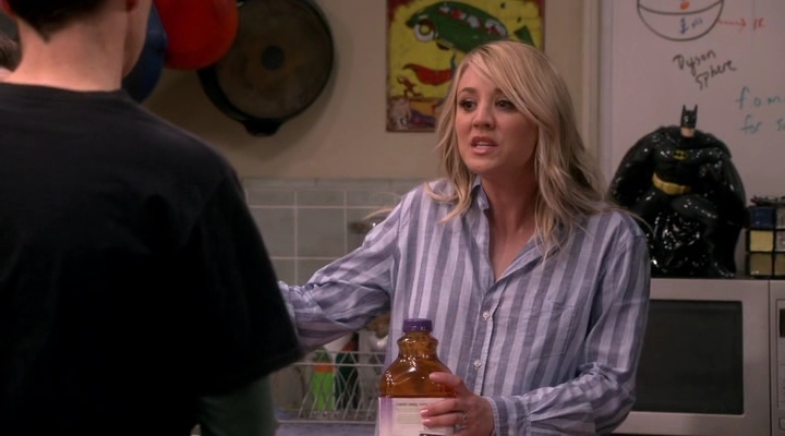 Chamed-Online-dot-nl_TheBigBangTheory12x20-0552.jpg