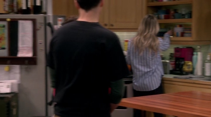Chamed-Online-dot-nl_TheBigBangTheory12x20-0557.jpg