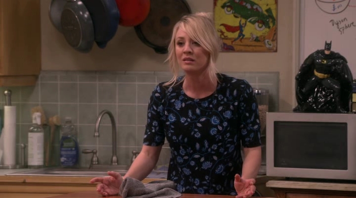 Chamed-Online-dot-nl_TheBigBangTheory12x20-0629.jpg