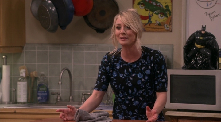 Chamed-Online-dot-nl_TheBigBangTheory12x20-0630.jpg