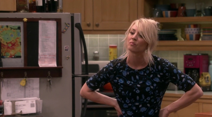 Chamed-Online-dot-nl_TheBigBangTheory12x20-0653.jpg