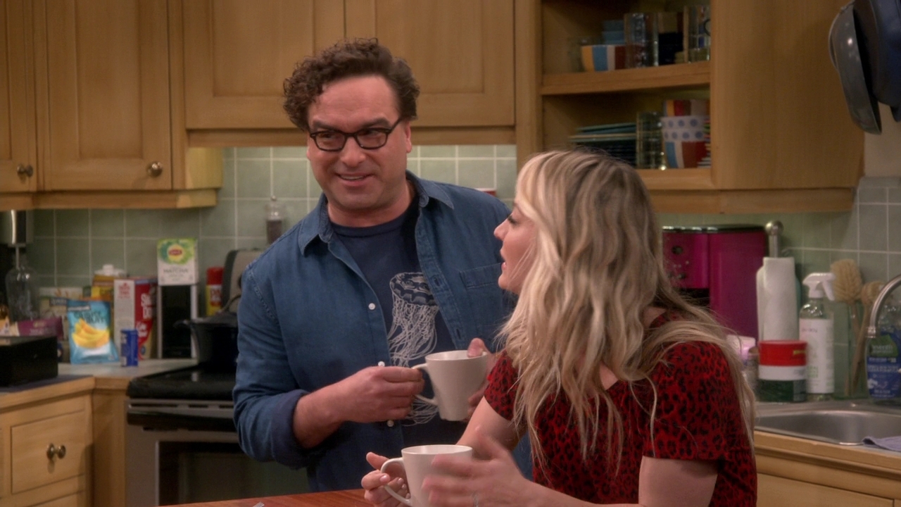 Chamed-Online-dot-nl_TheBigBangTheory12x22-0532.jpg